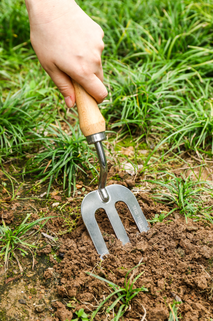 Advancing Horticulture with Innovations in Floral Garden Tools Set